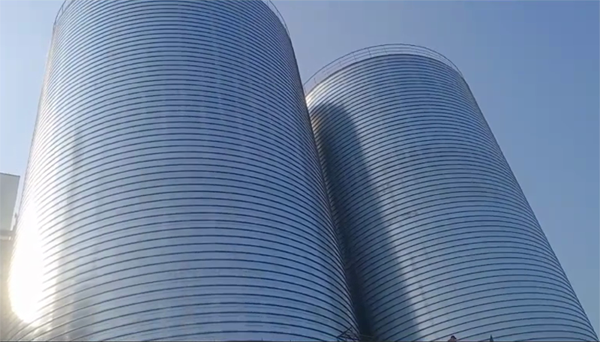 恩施2座混凝土高架卷板仓